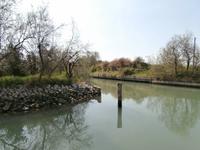 Insel Torcello