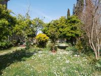 Frühling auf der Insel Torcello