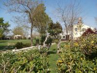 Frühling auf der Insel Torcello