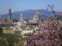 Florenz mit dem Dom, dem Campanile und Palzzo Vecchio