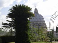 Kuppel des Petersdomes