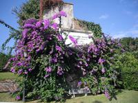 Vatikanische Gärten