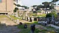 Forum Romanum6