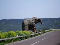 der Elefant - an der Straße zu Castelsardo 
