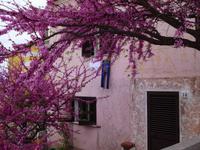 Stilleben in Santa Teresa