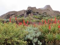 Castelsardo im Regen
