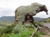 steinerner Elefant bei Castelsardo