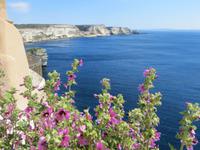 Kreideküste bei Bonifaccio