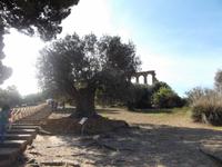 Tempeltal von Agrigent