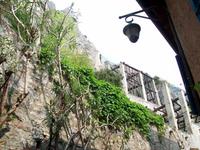 Zitronenplantage Limone