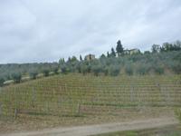 il vecchio maneggio agriturismo Weinreben