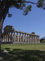 In Paestum
