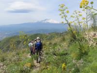 Wandern am Monte Venere