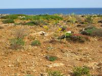 karge Küstenlandschaft im Vendirici