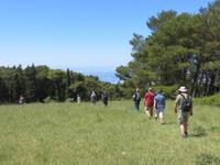 Abstieg nach Trapani