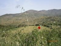 Korsische Landschaft