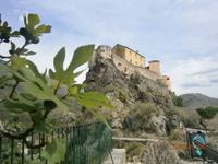 Alte Festung in Corte