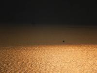 Einsames Boot auf dem Gardasee