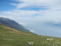 Blick zum versteckten Gardasee