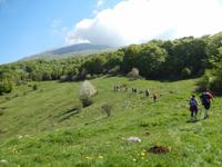 Auf dem Weg zum Gipfel