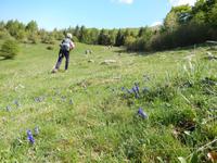 Auf dem Weg zum Gipfel