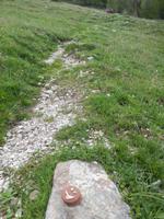 Lustigen Kekse sind wieder mit auf Tour