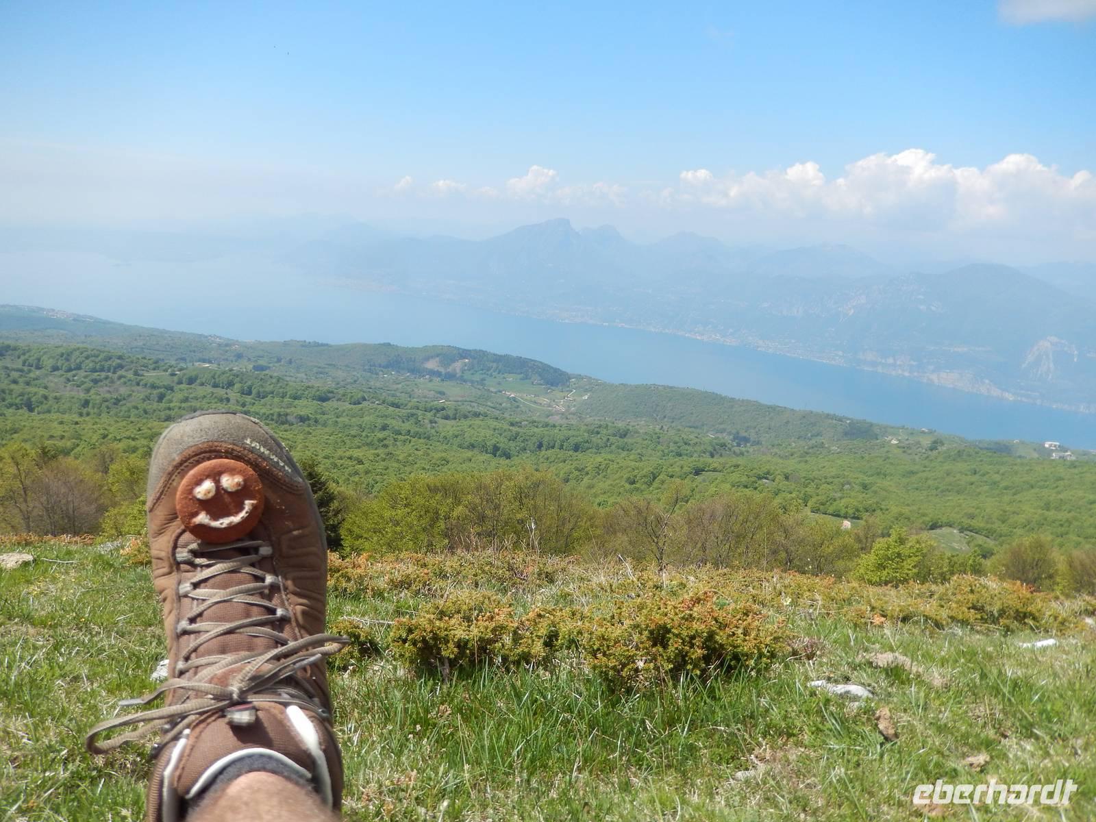 Lustigen Kekse sind wieder mit auf Tour