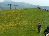 Abstieg vom Hochplateau