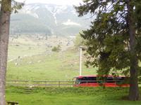 Bus muss erst einmal warten 