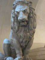 Il Marzocco, der Löwe von Florenz