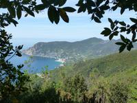 Blick auf Monterosso