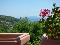 Ischia mit Blick auf Capri