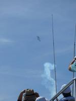 Übungen der Flugstaffel