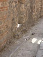 Kanalisation in Pompeji
