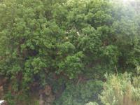 regnerischer Tag auf Ischia