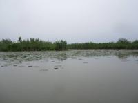 Naturschutzgebiet I Barcaioli del Mincio