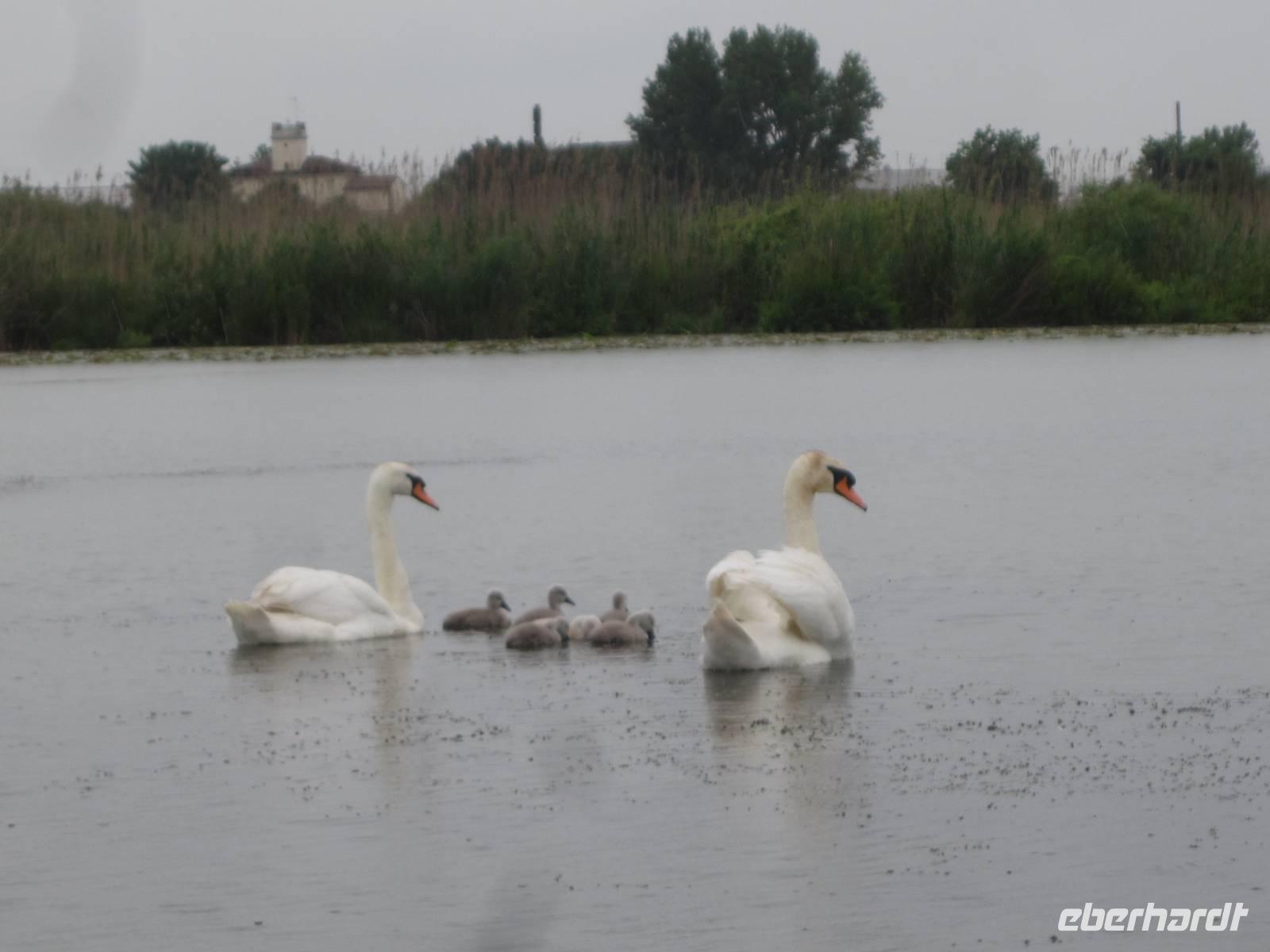 Naturschutzgebiet I Barcaioli del Mincio