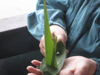 Naturschutzgebiet I Barcaioli del Mincio