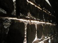 Besuch der Metzgerei im Cambratal