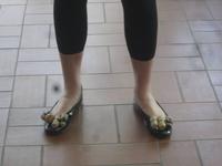 Weingut ZONIN in Gambellara