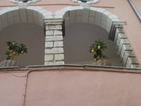 Blumentöpfe mal anders