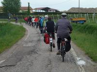 immer schön hintereinander