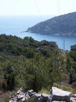 Isola Palmaria - umrundet