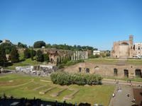 Aus dem Kolosseum hat man übrigens eine fabelhafte Aussicht zum Palatinhügel