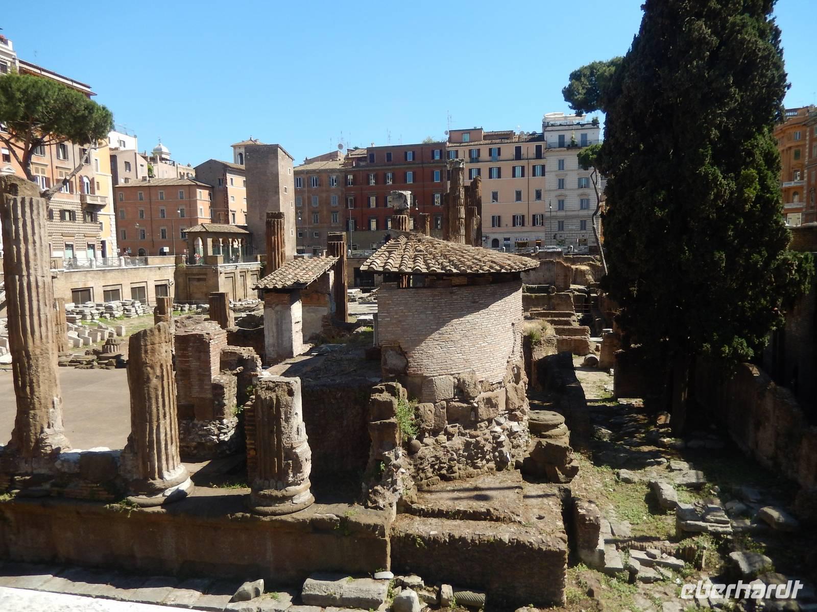 Unsere heutige Führung endete am Largo di Torre Argentina