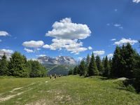 Abstieg zum Campo Carlo Magno