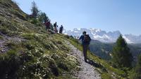 Adamello Brenta Gruppe