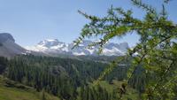 Adamello Brenta Gruppe