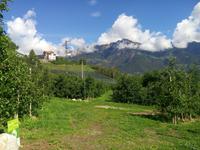 Adios, Merano