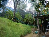 Agricultura